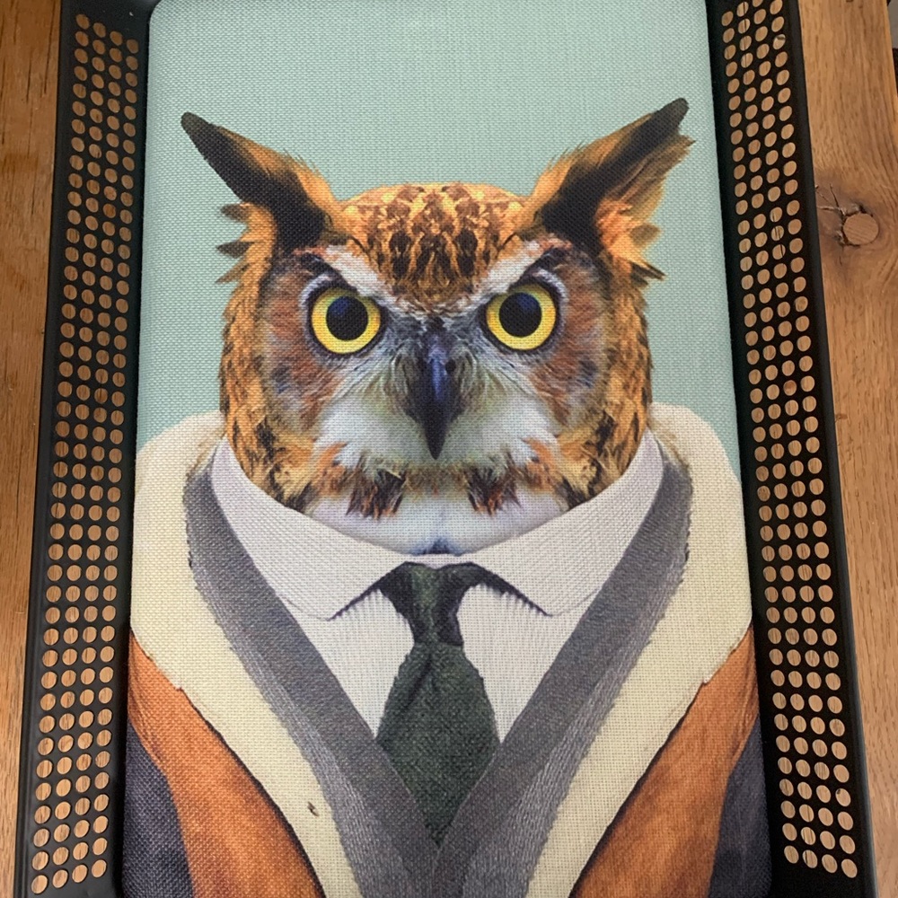 Hanging Owl Tray Wall Art